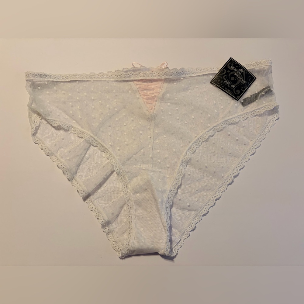 NWT Wilshire Montana White Sheer Swiss Dot Panties Size 4X – Bundle 5/$25